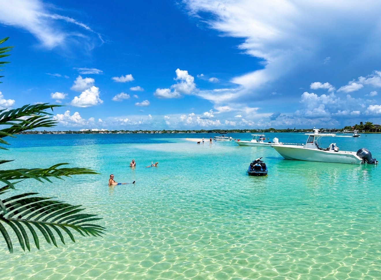 Siesta Key sandbar tour